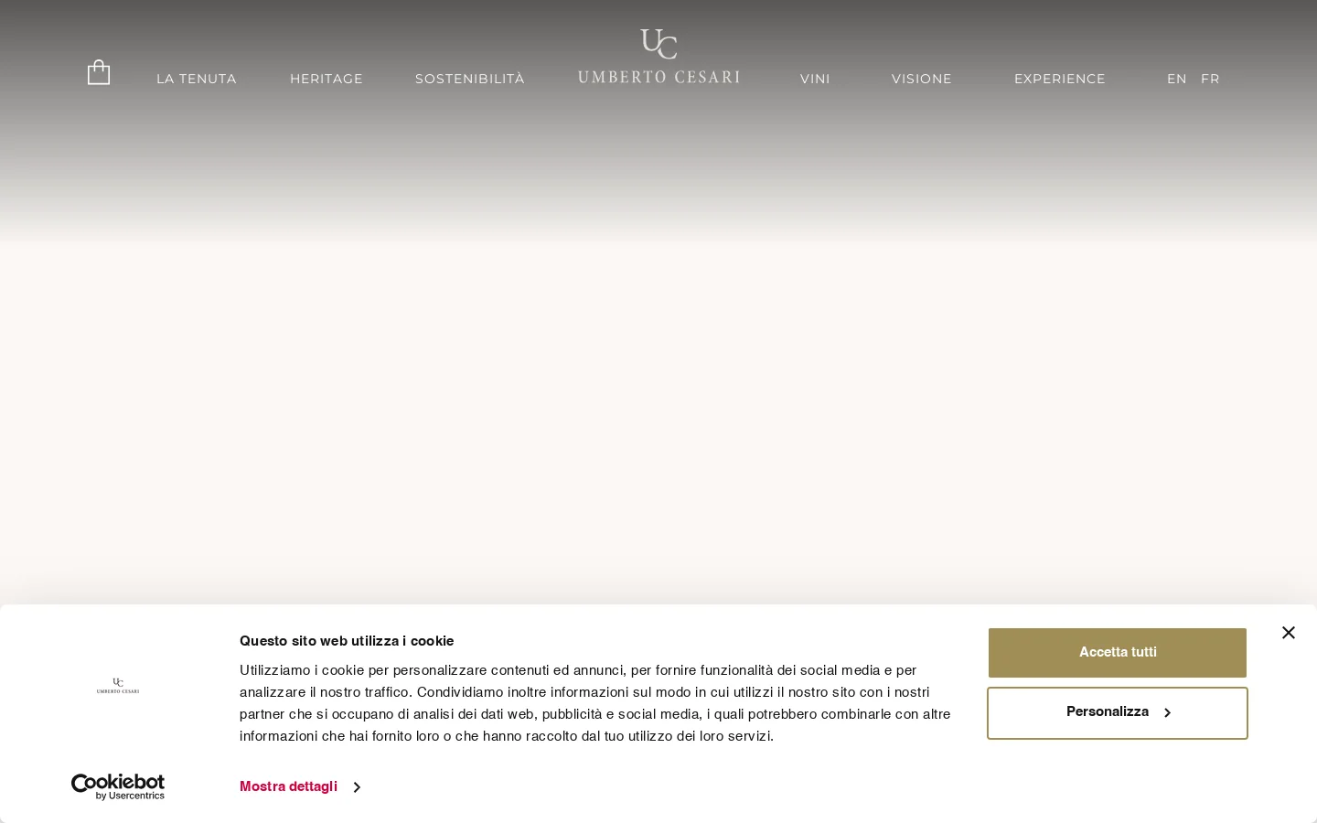 Umberto Cesari 首页截图