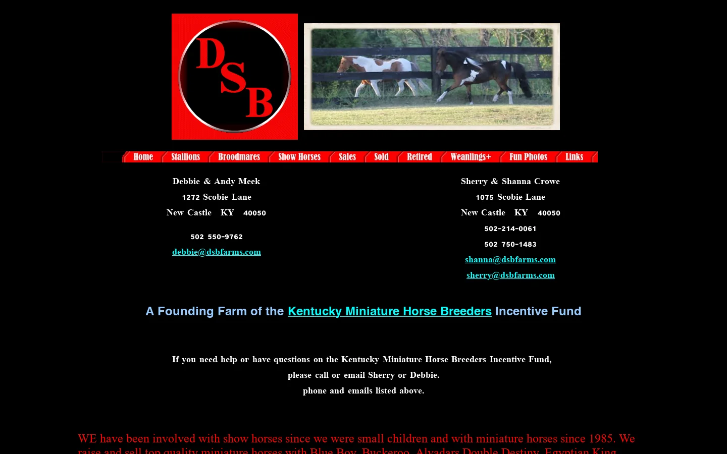 Miniature Horses @dsbfarms.com Farm Champion Miniature Horses 首页截图