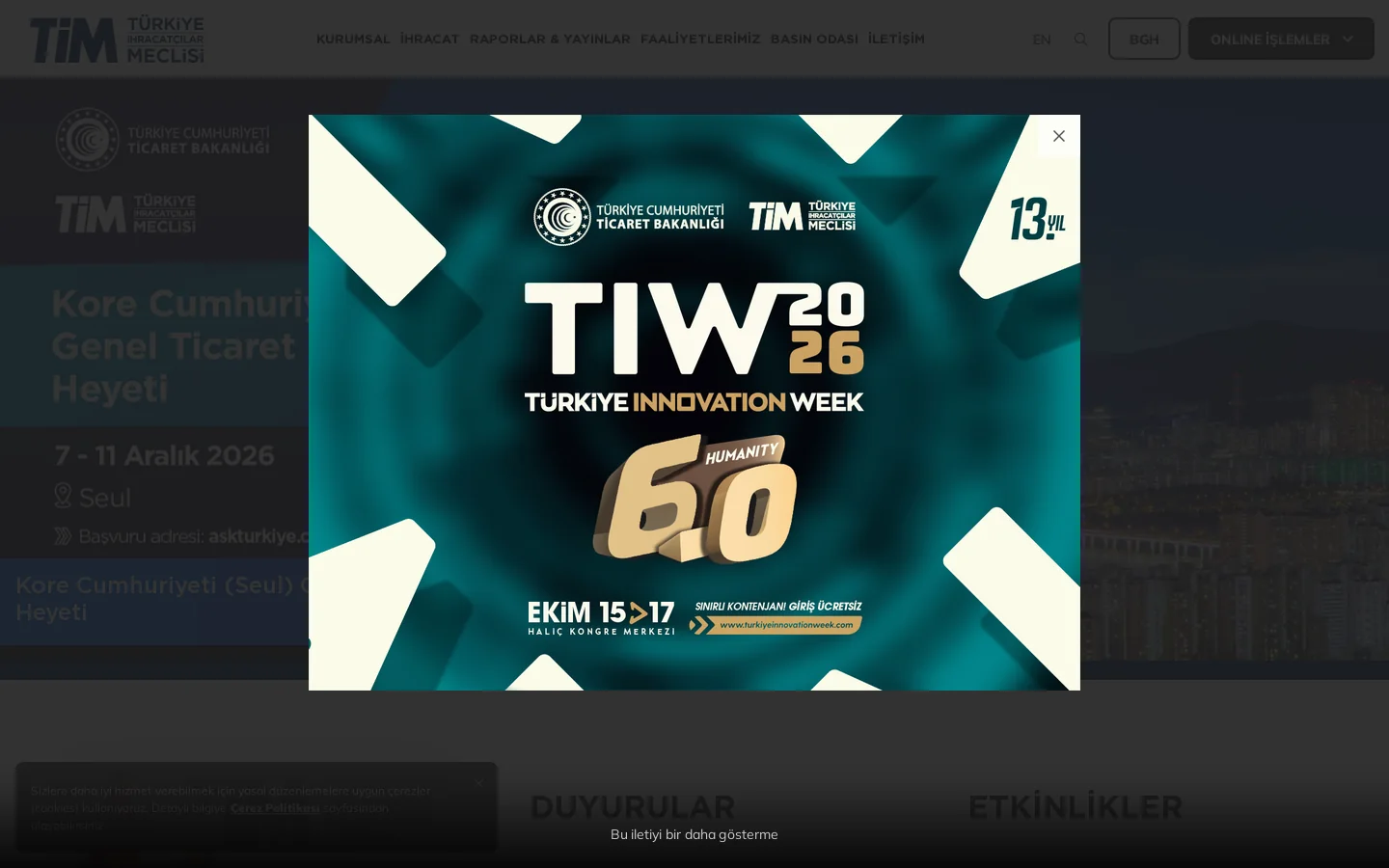 TİM 首页截图