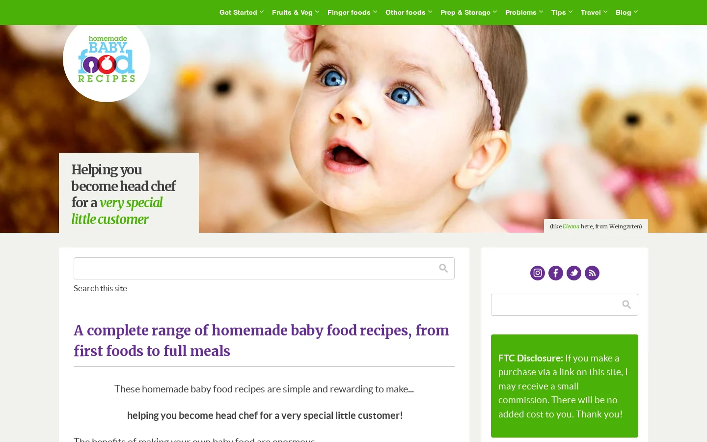 Homemade Baby Food Recipes 首页截图