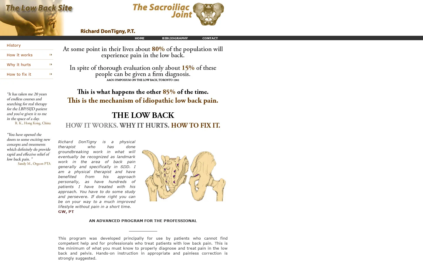 Low back pain relief with simple exercises you can do at home - The DonTigny Method 首页截图