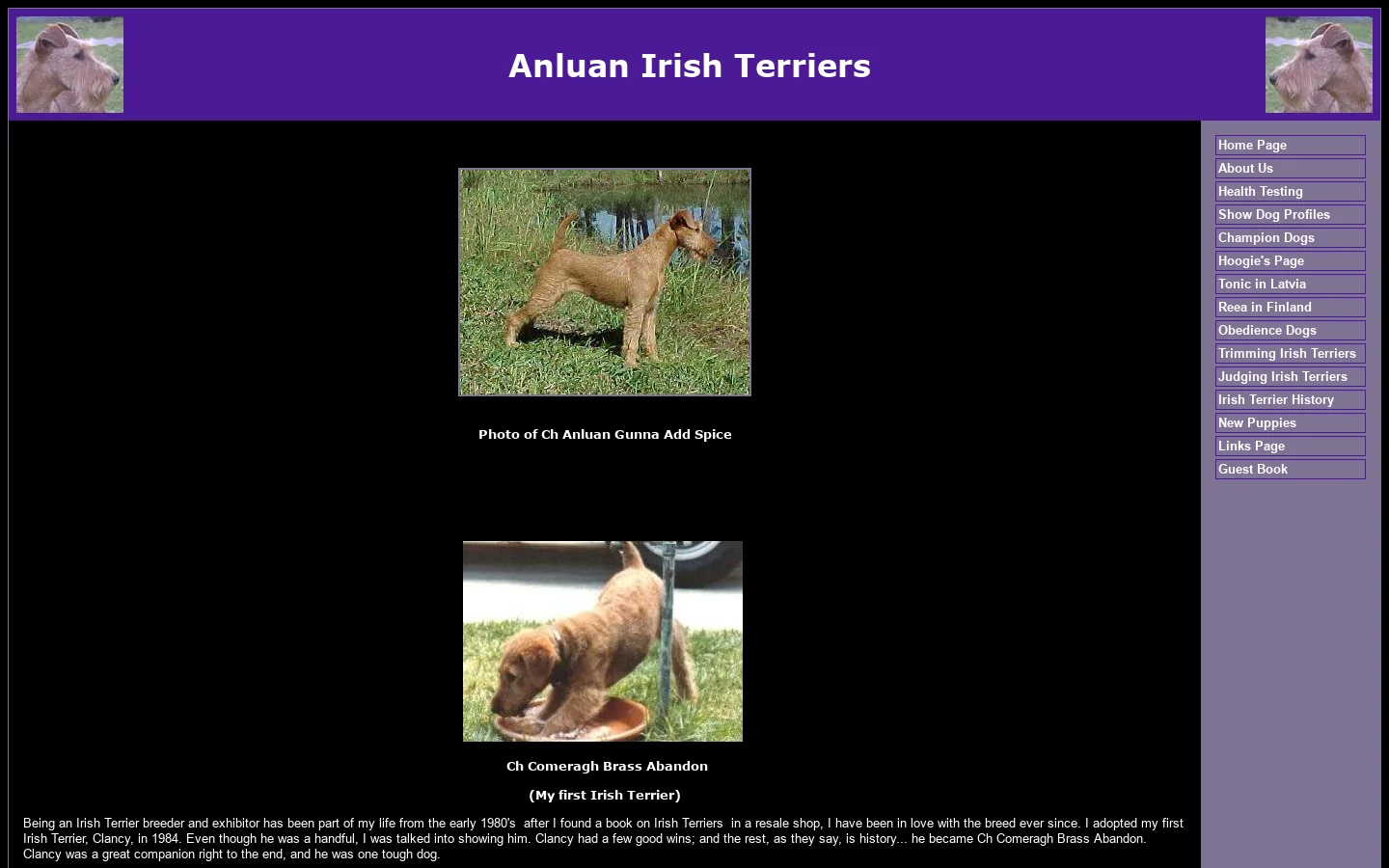 Anluan Irish Terriers 首页截图