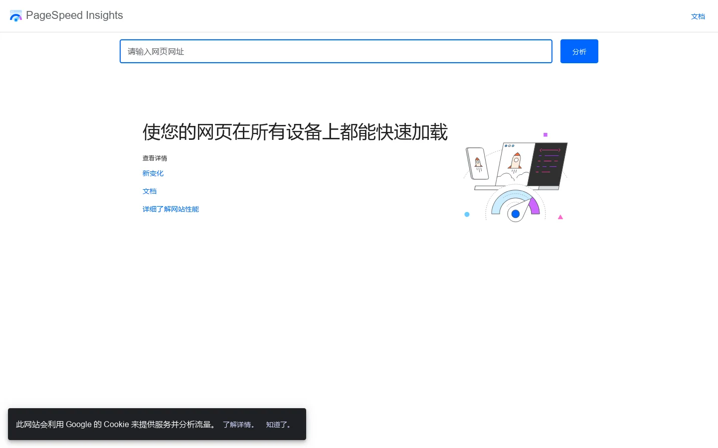 PageSpeed Insights 首页截图