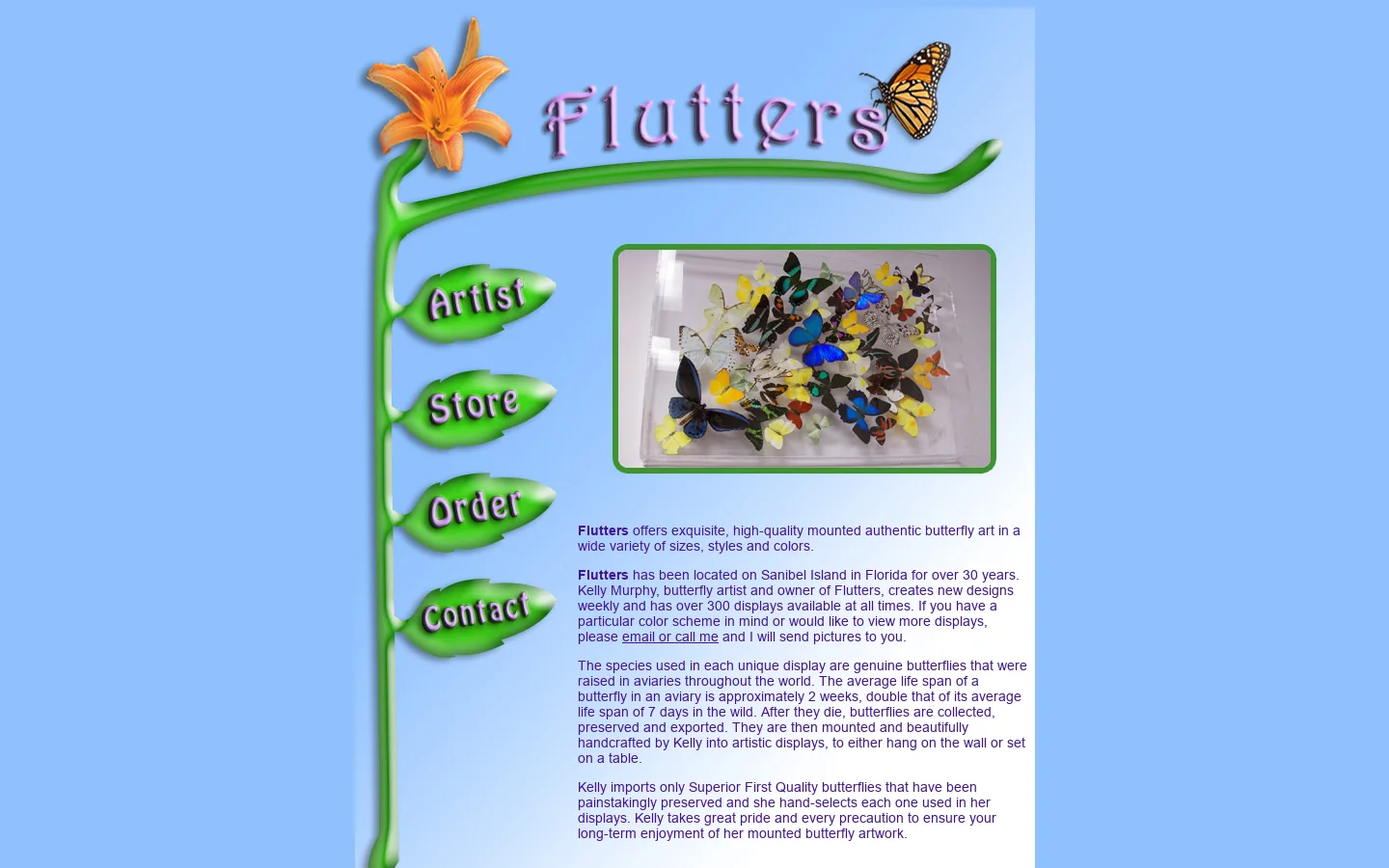Flutters 首页截图