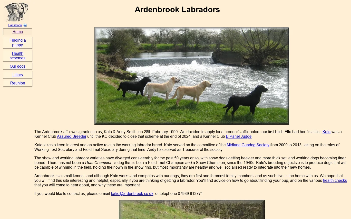 Ardenbrook Labradors 首页截图