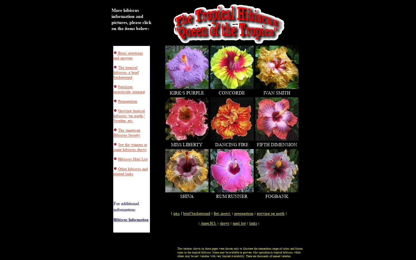 Tropical Hibiscus 首页截图