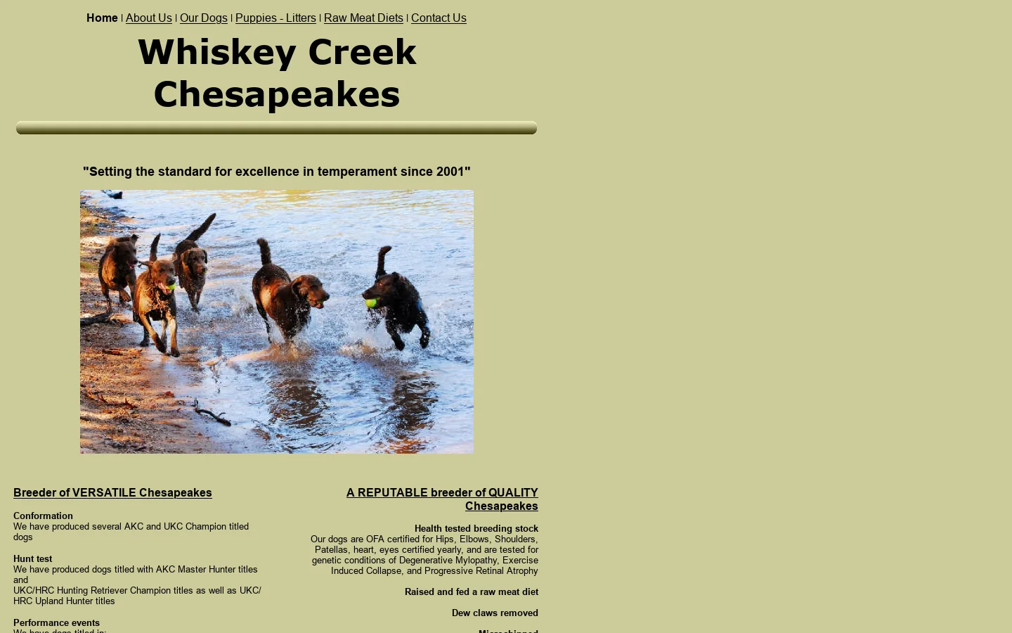 Whiskey Creek Chesapeakes Chessie puppies for sale NC, SC,TN 首页截图