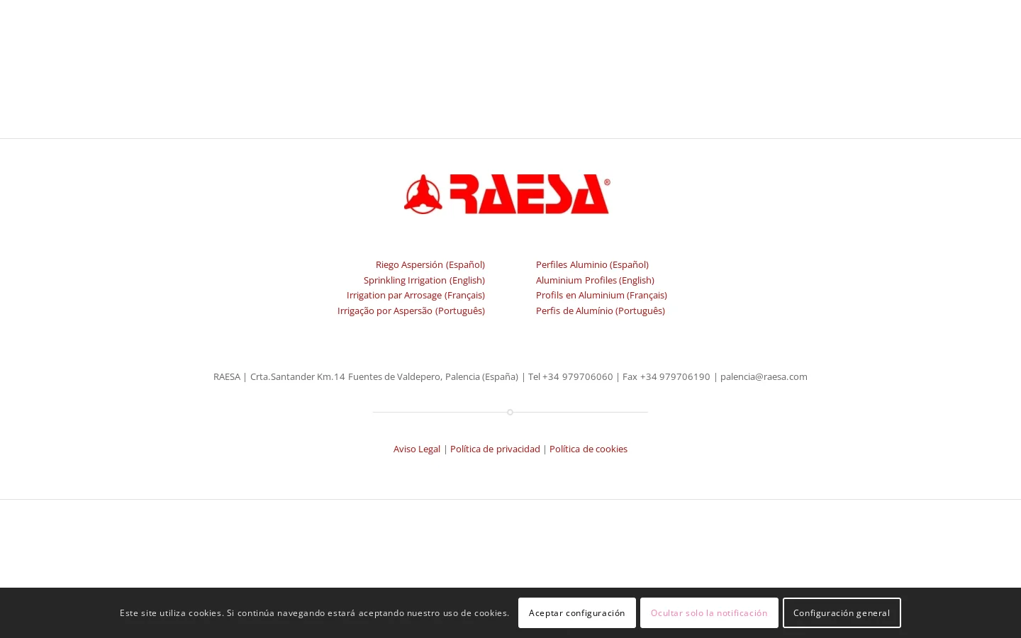 RAESA 首页截图