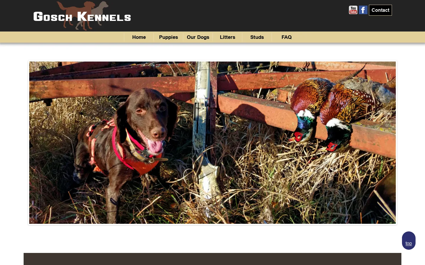 Gosch Kennels 首页截图