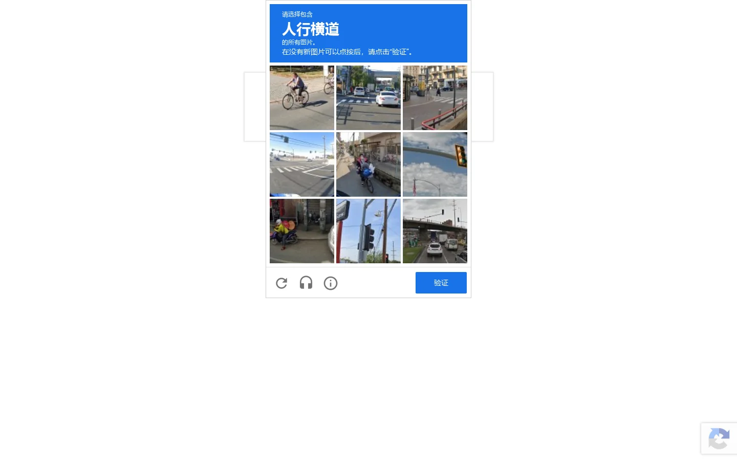 Bot Verification 首页截图