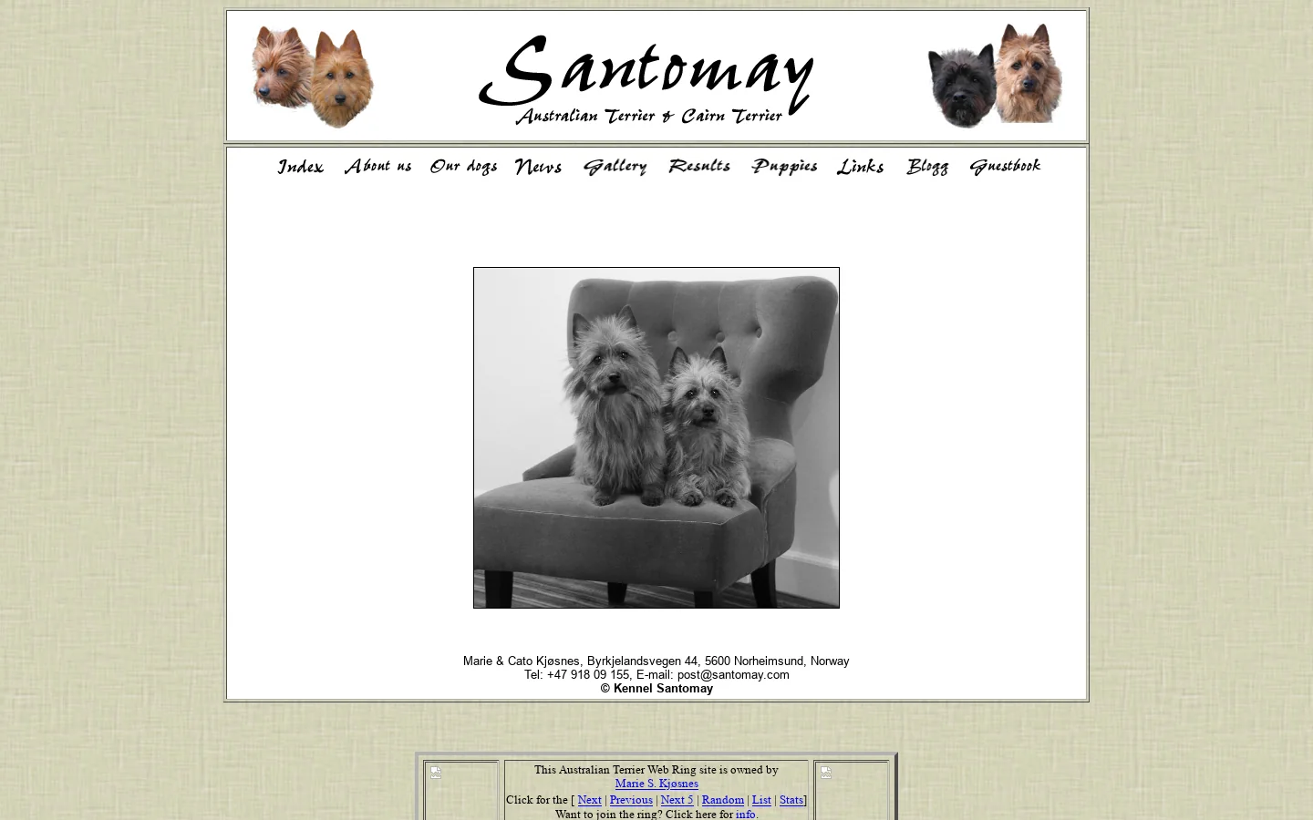 Santomay Australian Terriers 首页截图