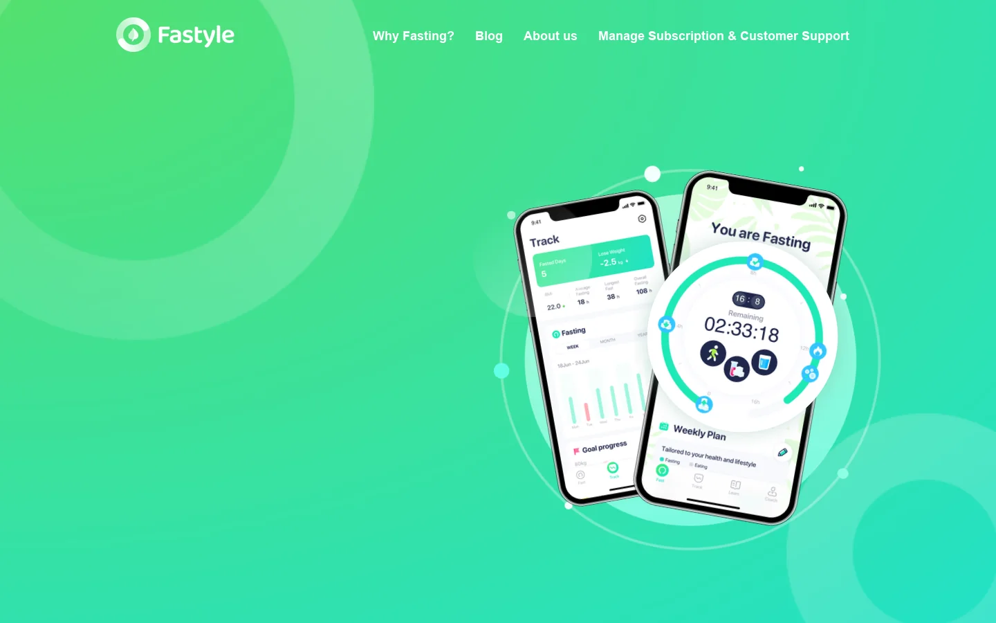 Fastyle 首页截图
