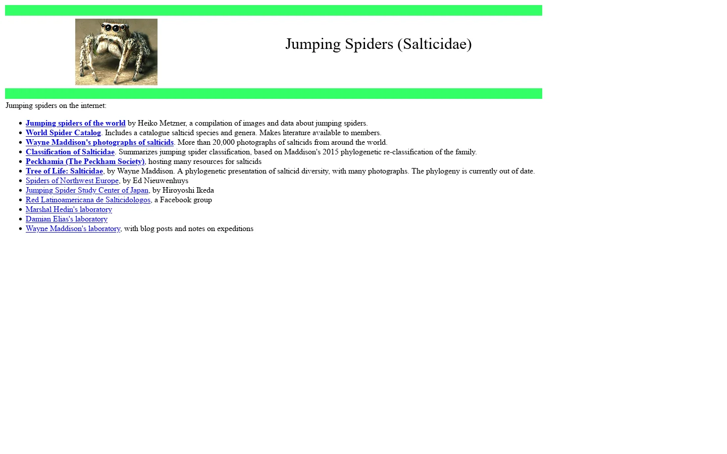 Jumping Spiders (Salticidae) 首页截图