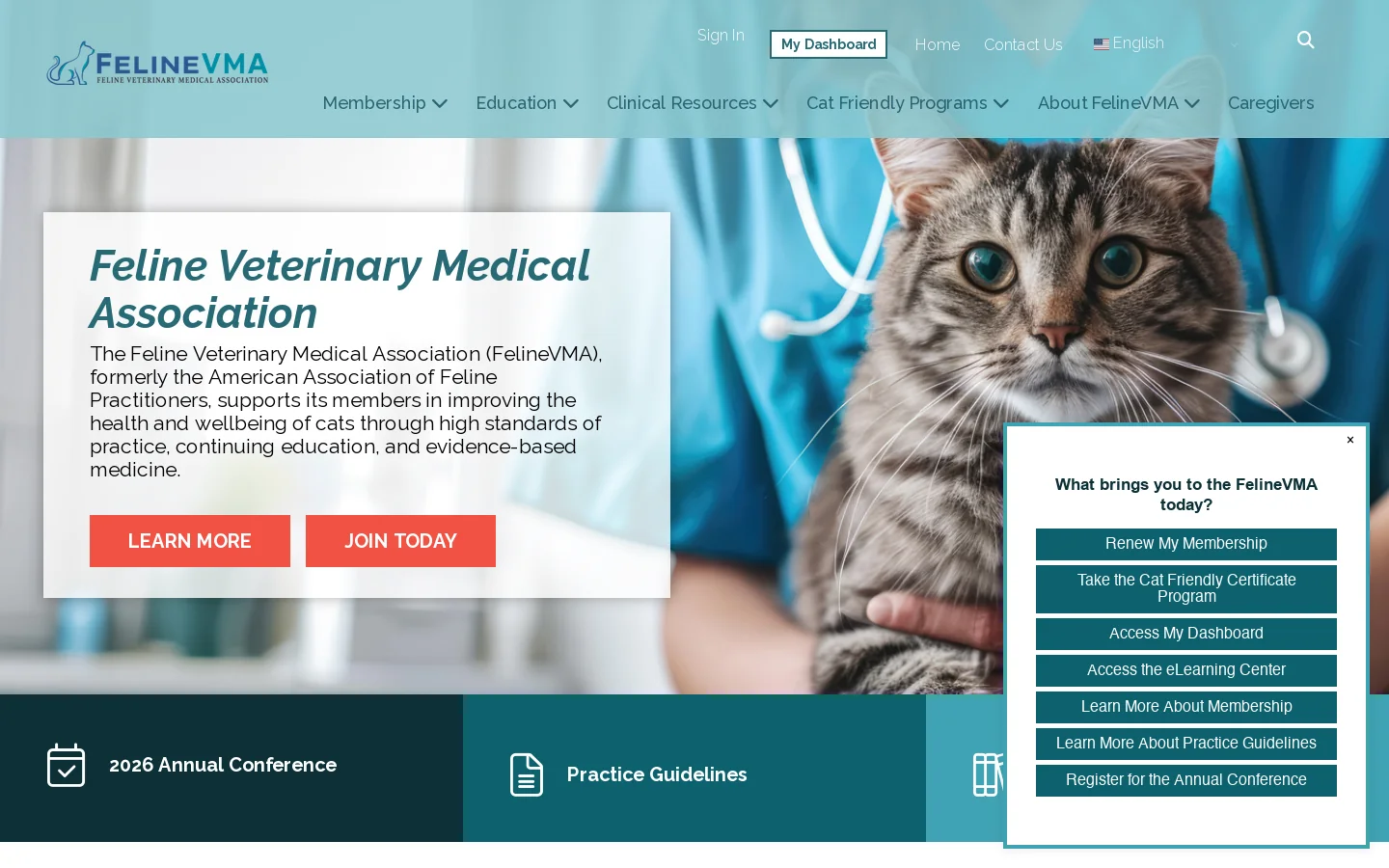 catvets.com 首页截图
