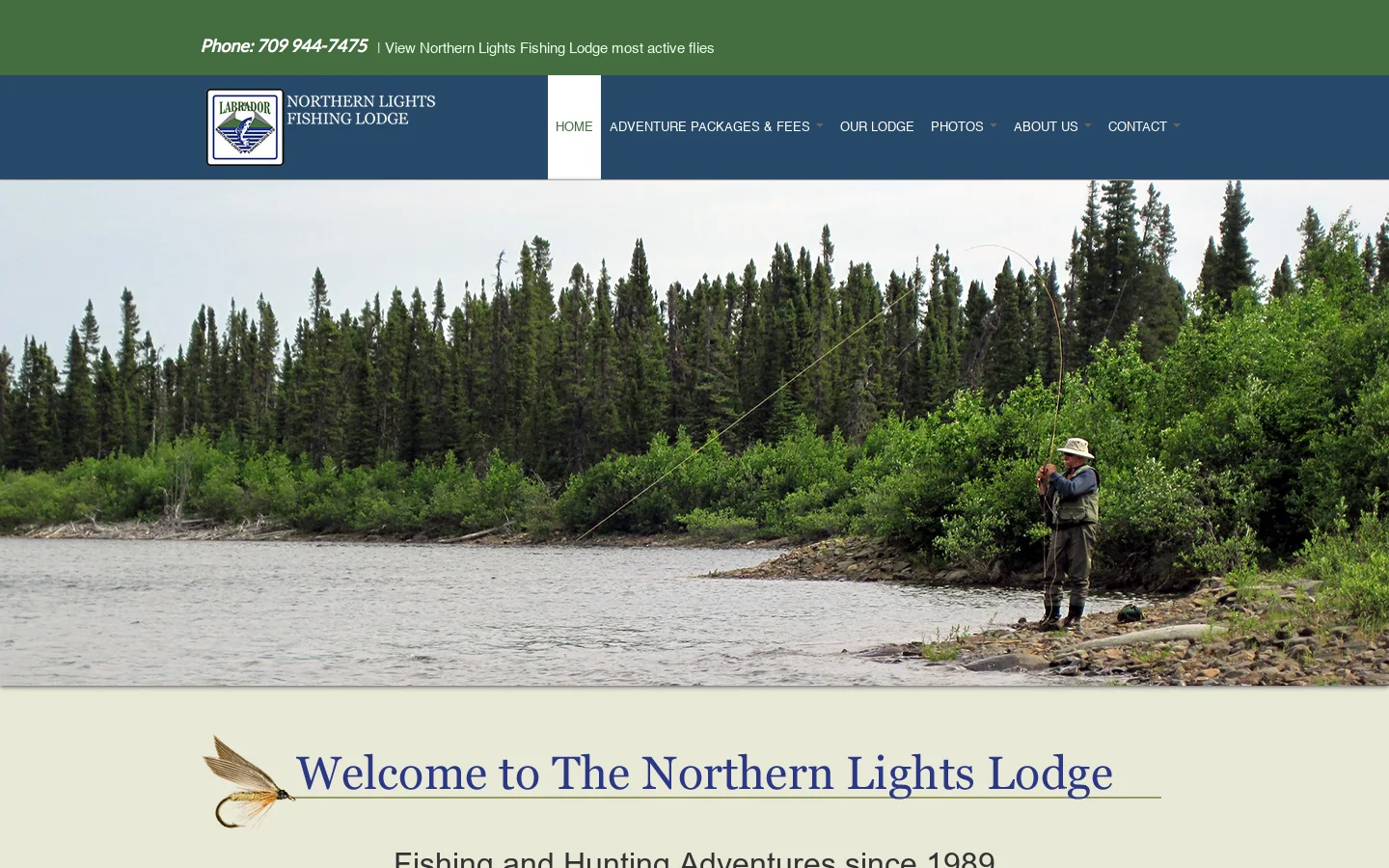 Brook Trout, Labrador Canada, Trout, fish, Northern Lights Fishing Lodge 首页截图