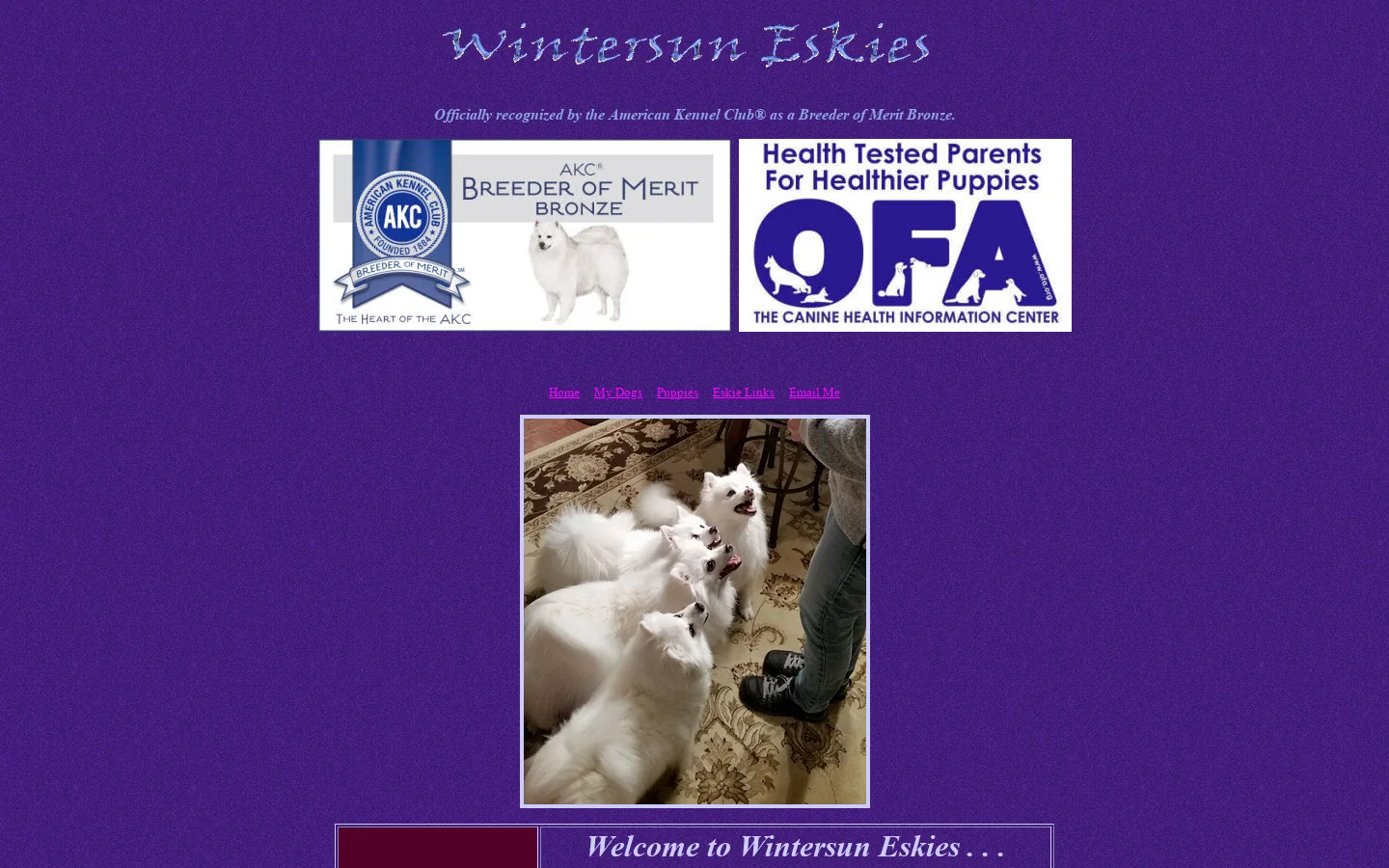 Wintersun Eskies 首页截图