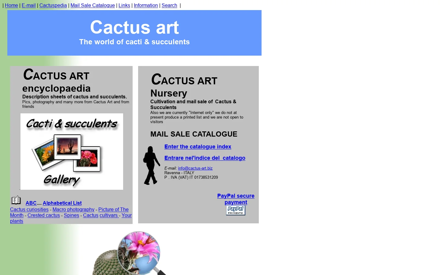 Cactus-art 首页截图