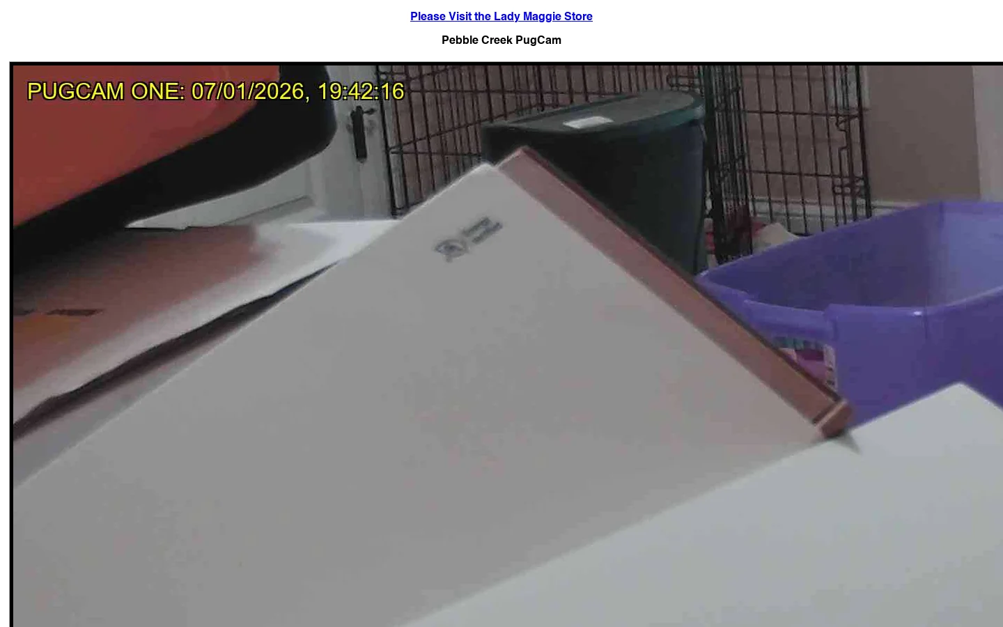 Richard and Robbi's PugCam 首页截图