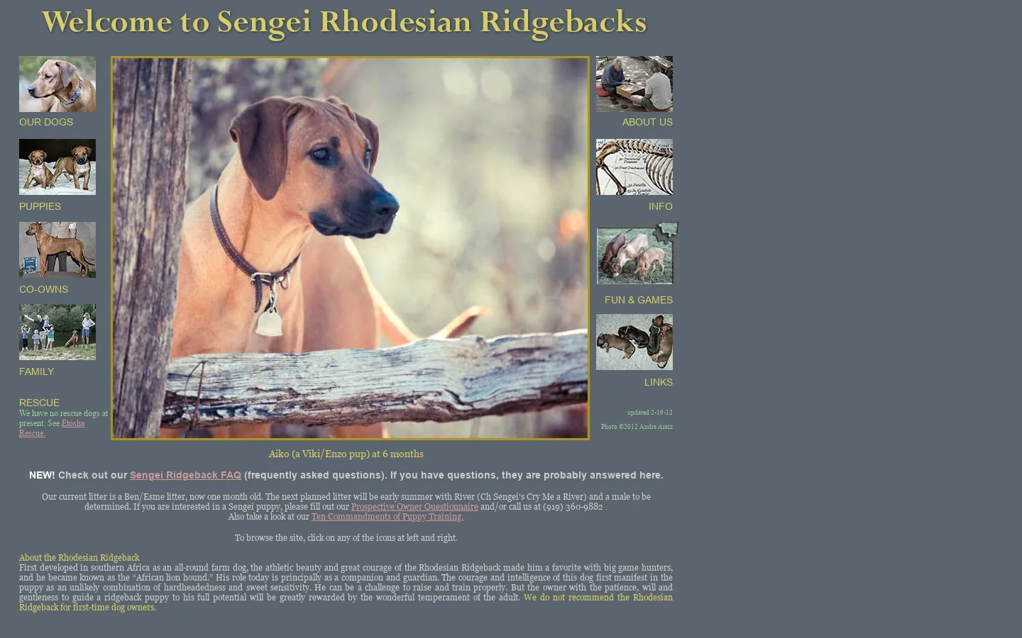 Sengei Rhodesian Ridgebacks 首页截图