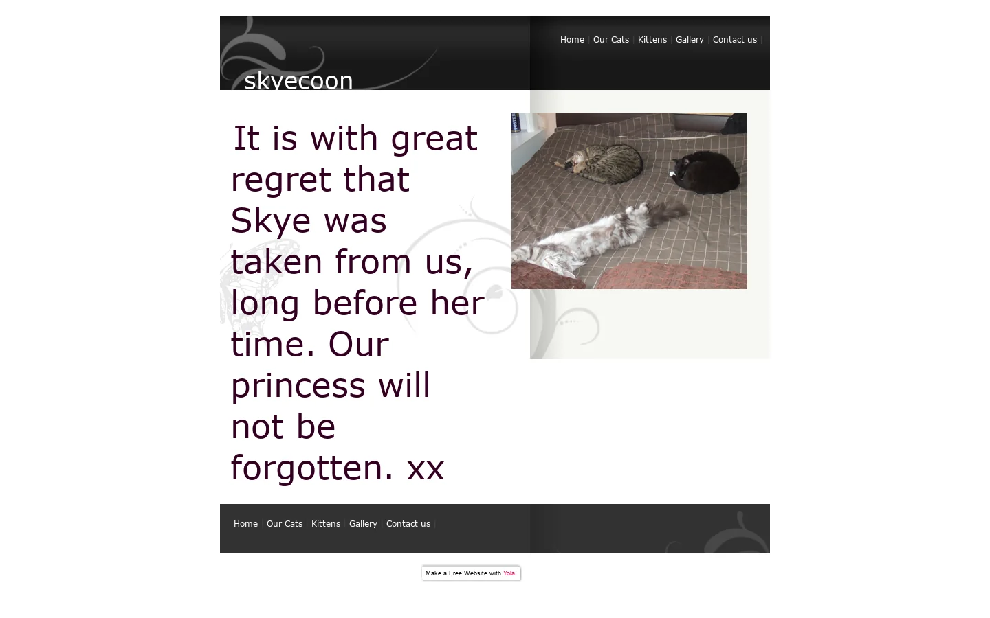 skyecoon 首页截图