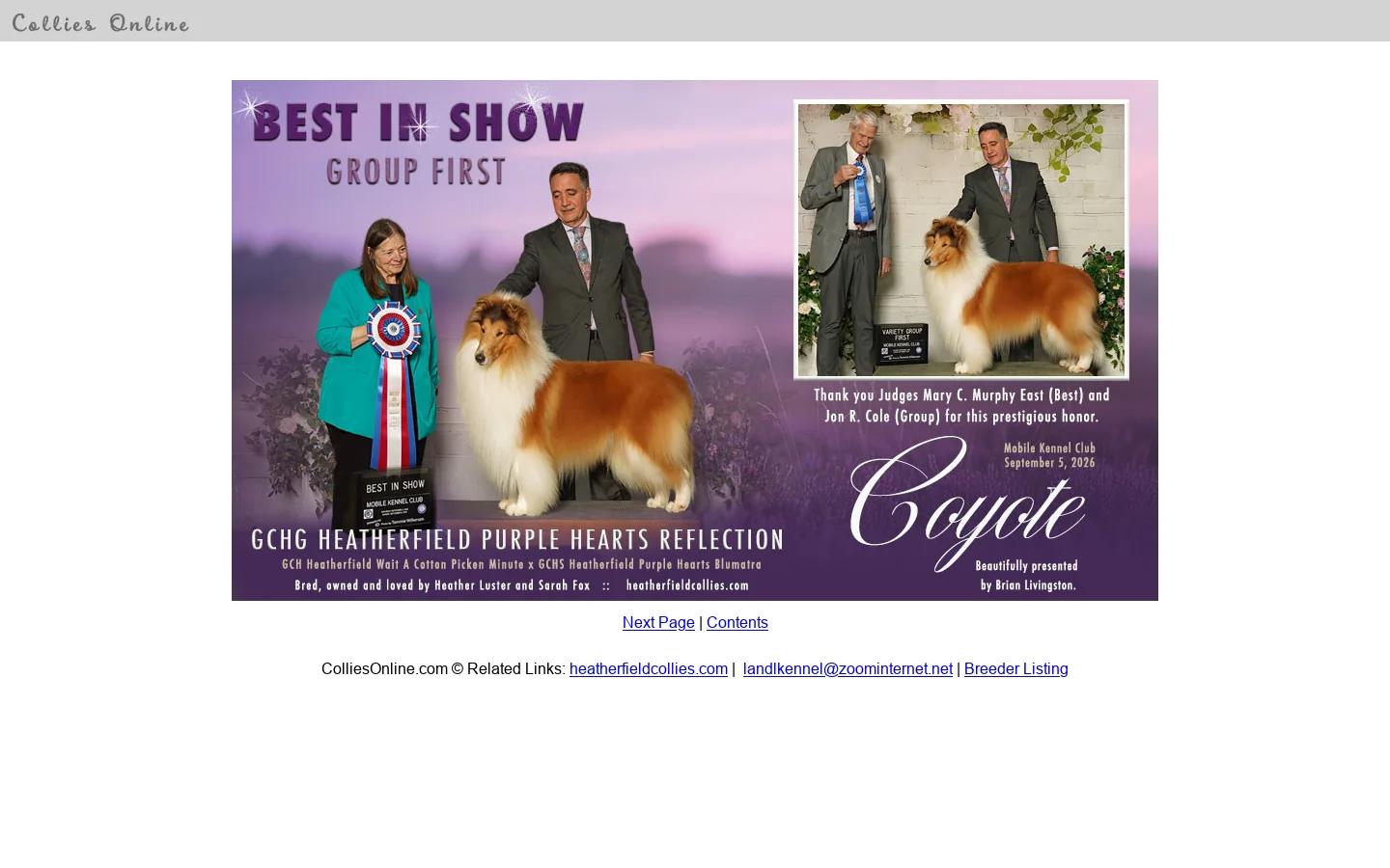 Collies Online Homepage 首页截图