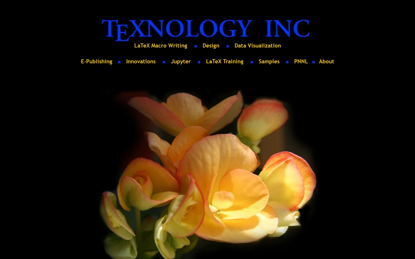TeXnology Inc., LaTeX Consulting 首页截图