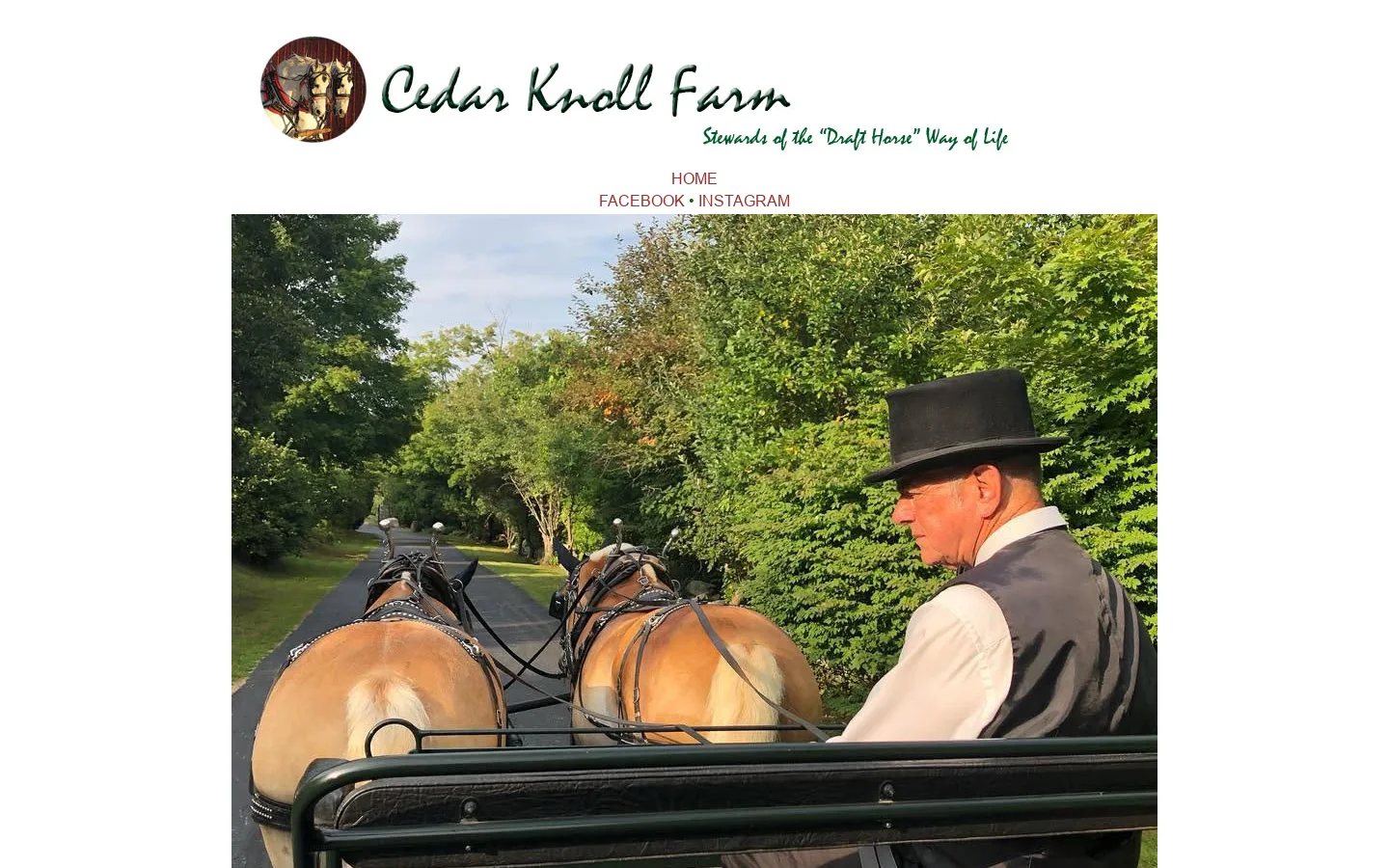Wedding Carriages Connecticut / CT Carriage Rides / Hay Rides / Horse Drawn Carriages / Buggies / MA Carriage Rides / RI Carriages 首页截图
