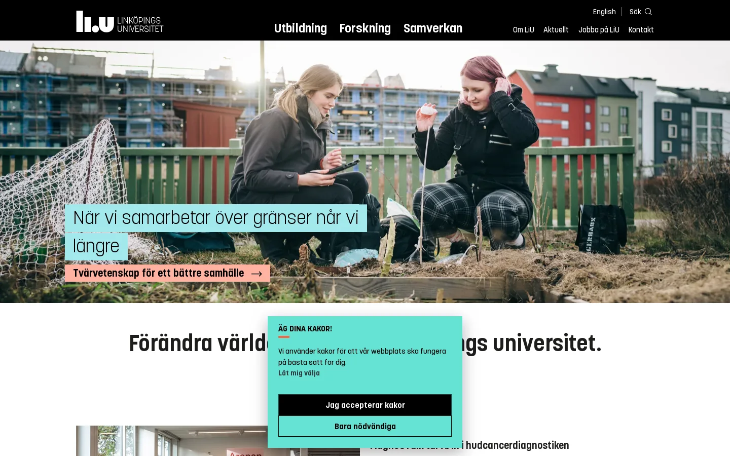 Linköpings universitet - Linköpings universitet 首页截图