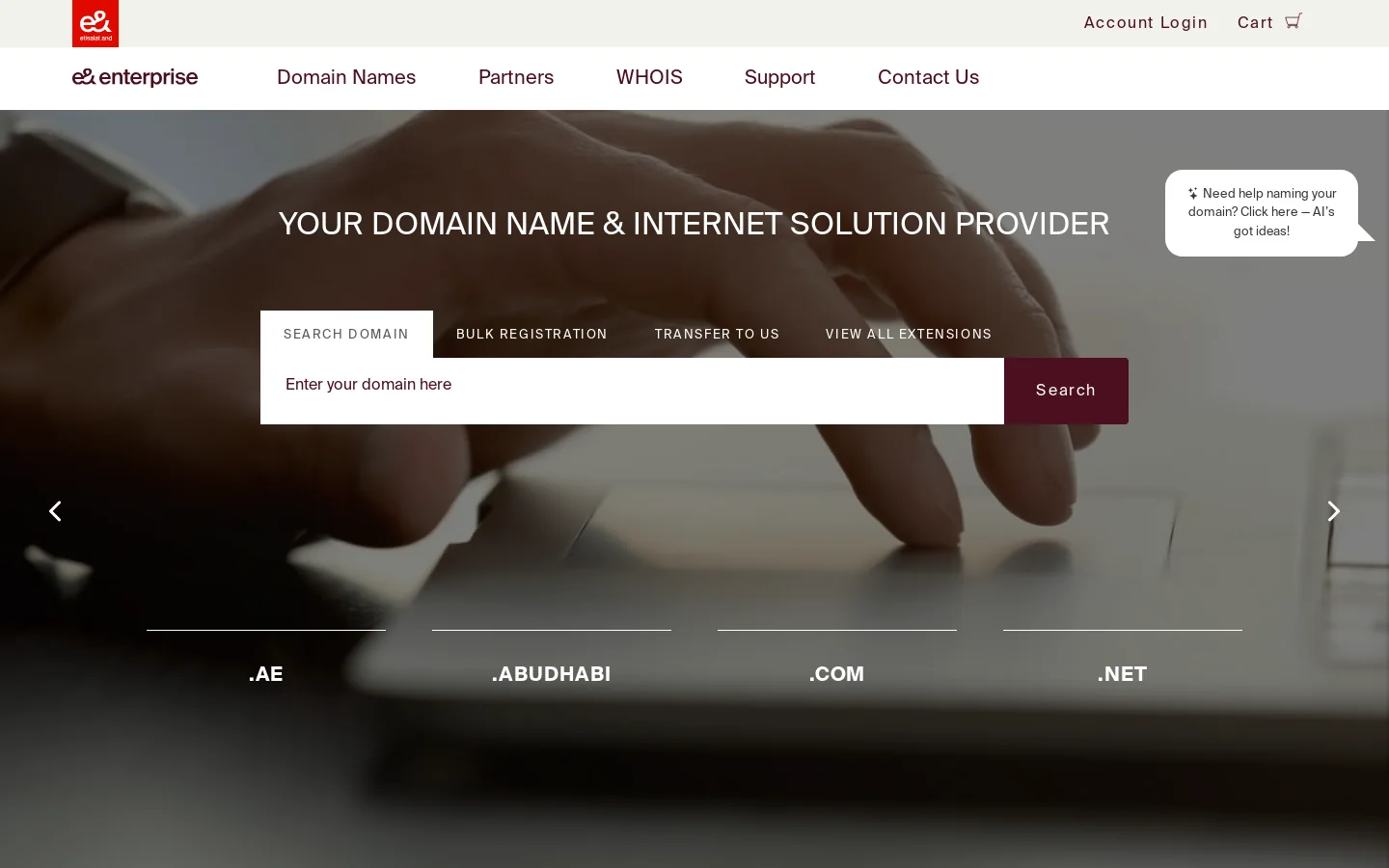 e& enterprise Domains Storefront - Online Registration 首页截图