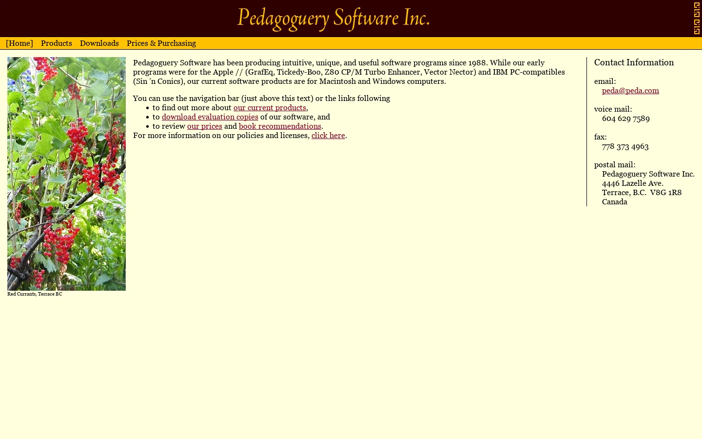 Pedagoguery Software 首页截图