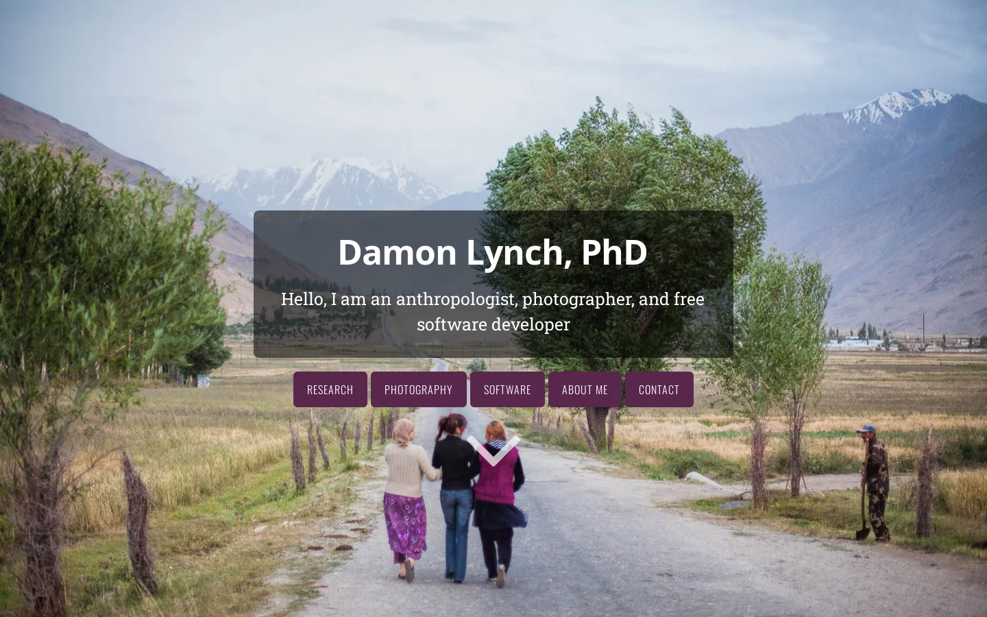 Damon Lynch, PhD 首页截图