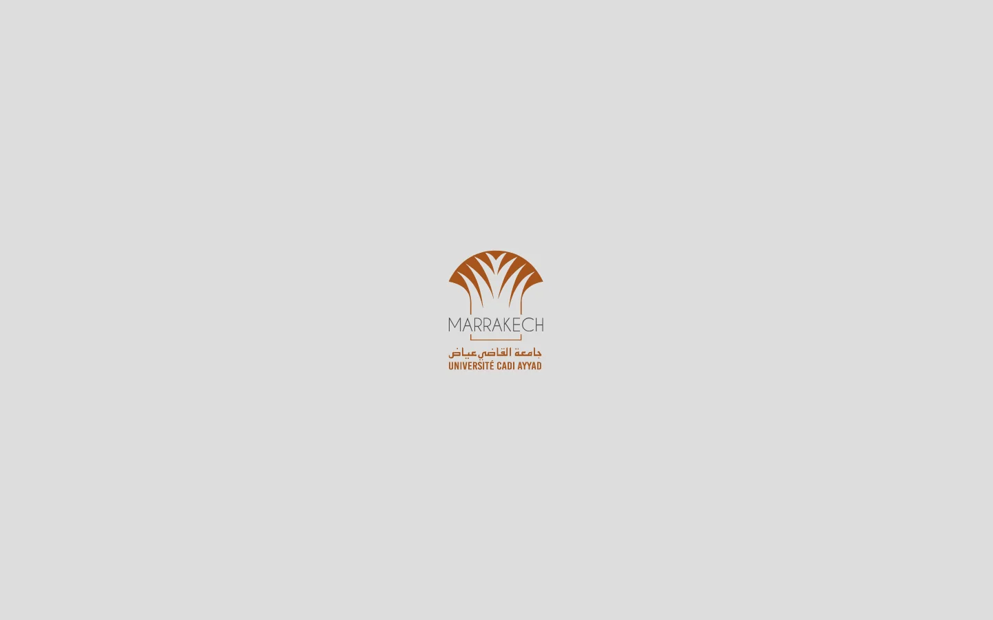 Bienvenue sur le Portail de l'Université Cadi Ayyad 首页截图