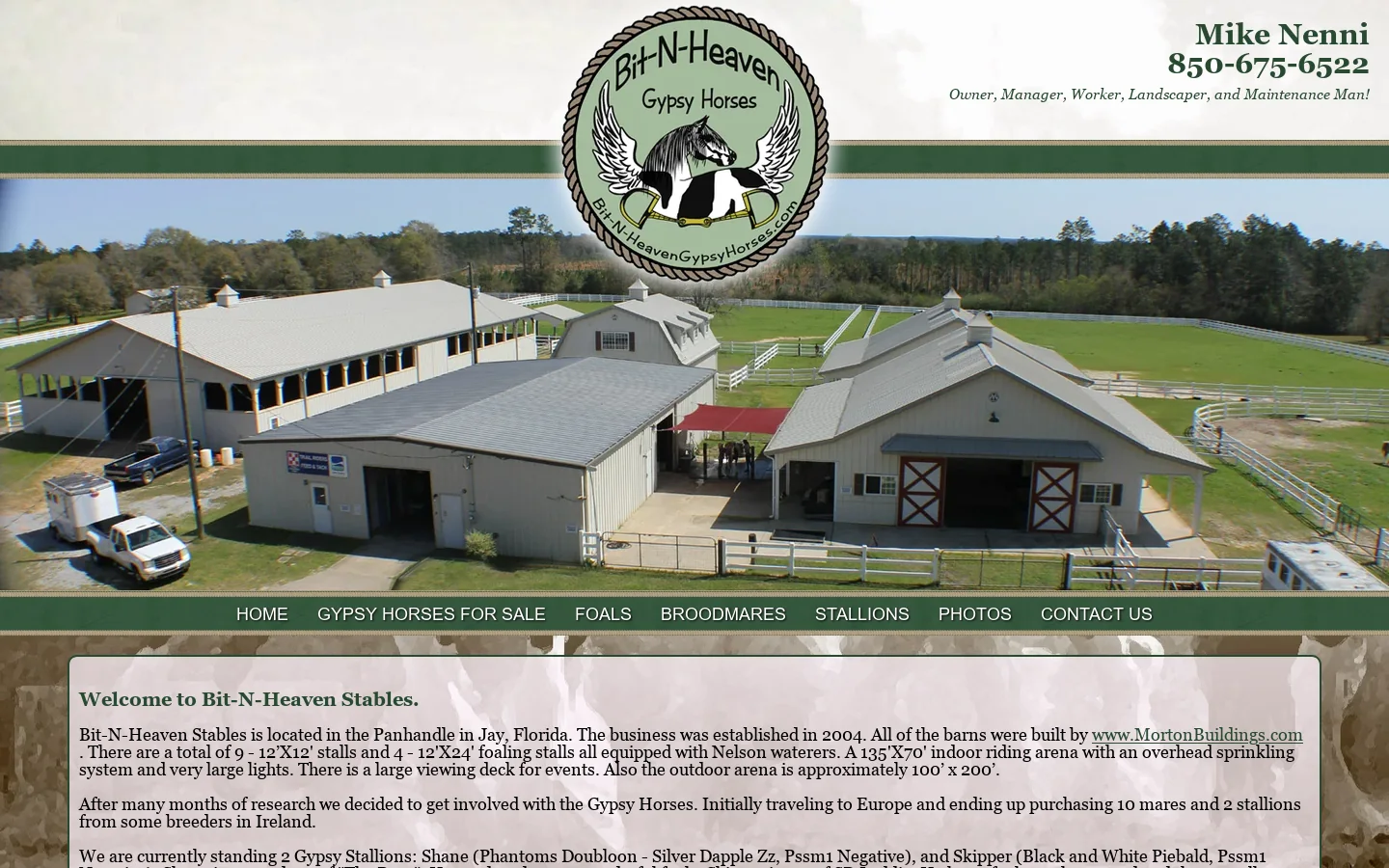 Gypsy Horses For Sale at Bit-N-Heaven Gypsy Horses 首页截图