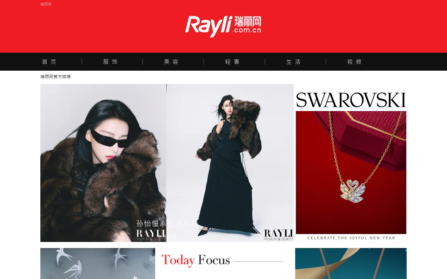 rayli.com.cn 首页截图