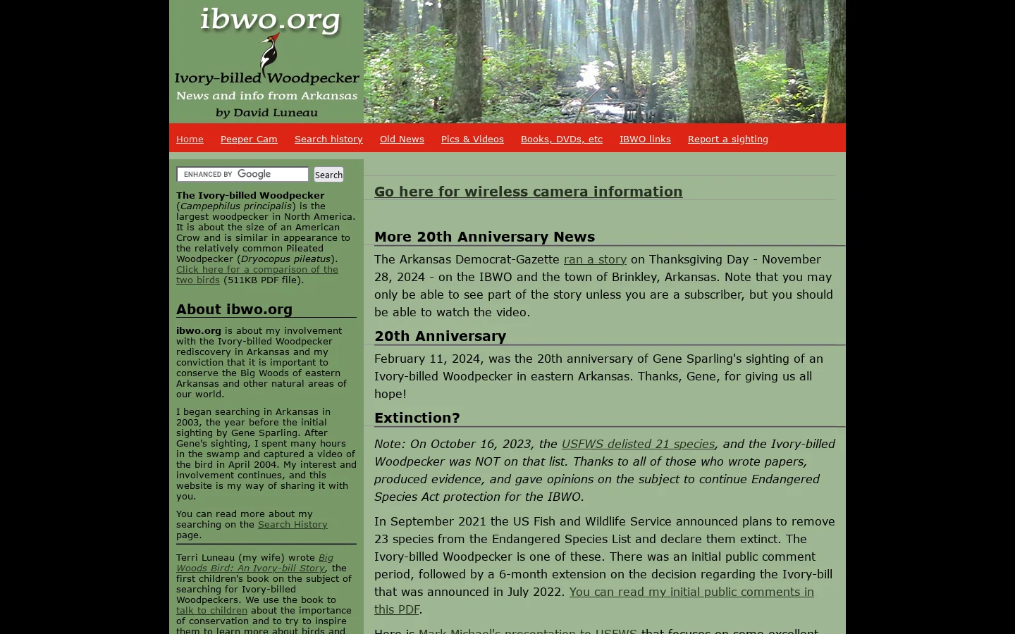 Ivory-billed Woodpecker information - redirect page 首页截图