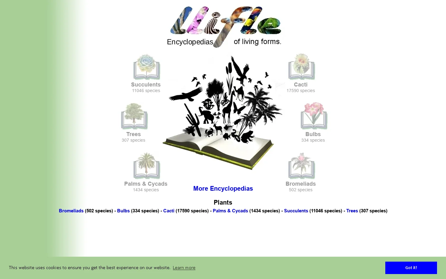 LLIFLE 首页截图