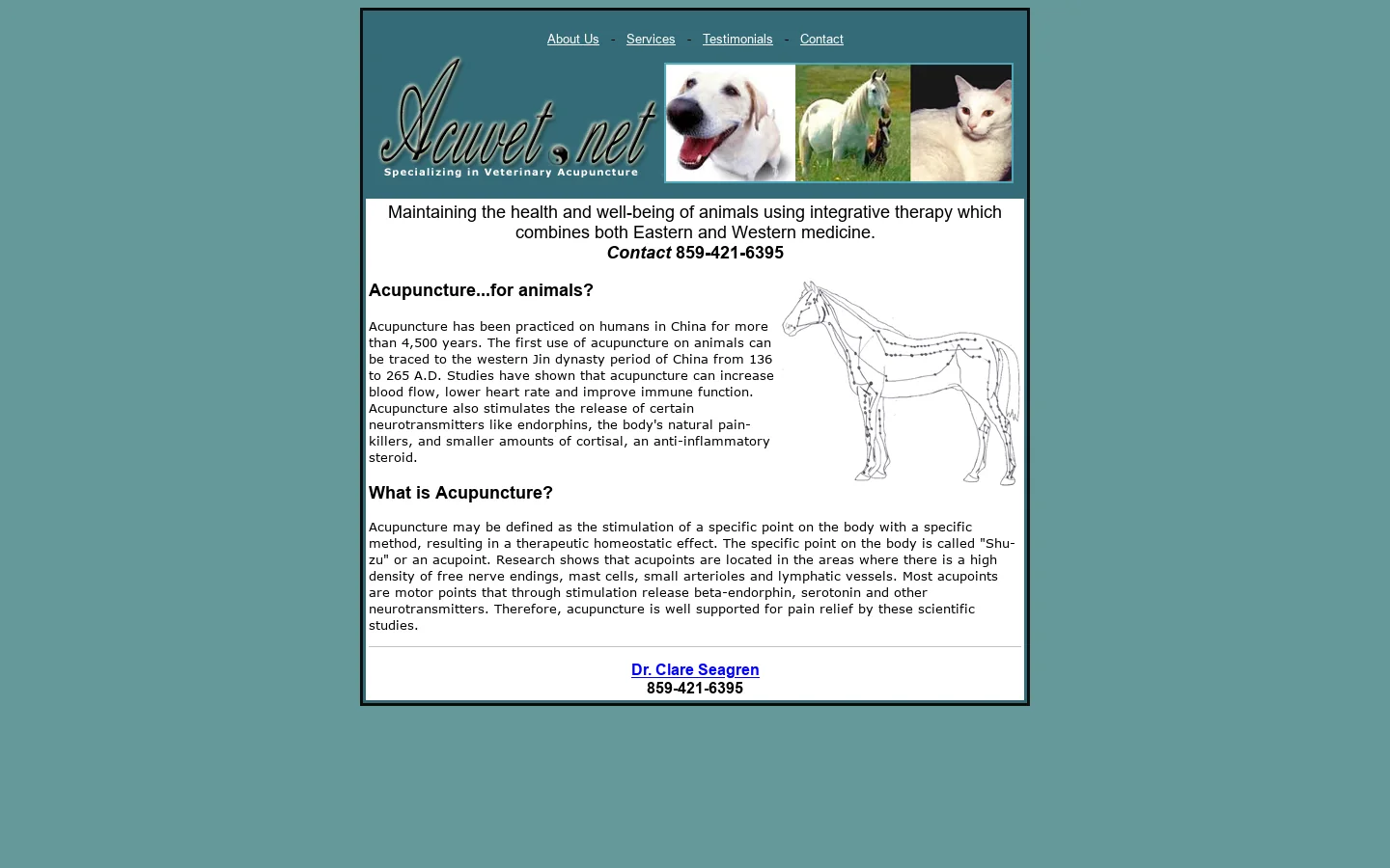 Welcome to Acuvet.net - Specilizing in Animal Acupuncture 首页截图