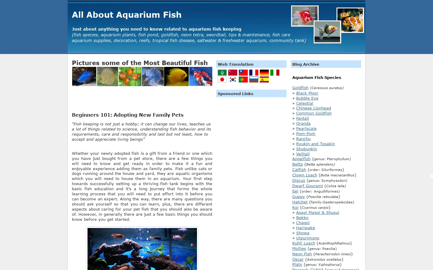All About Aquarium Fish 首页截图