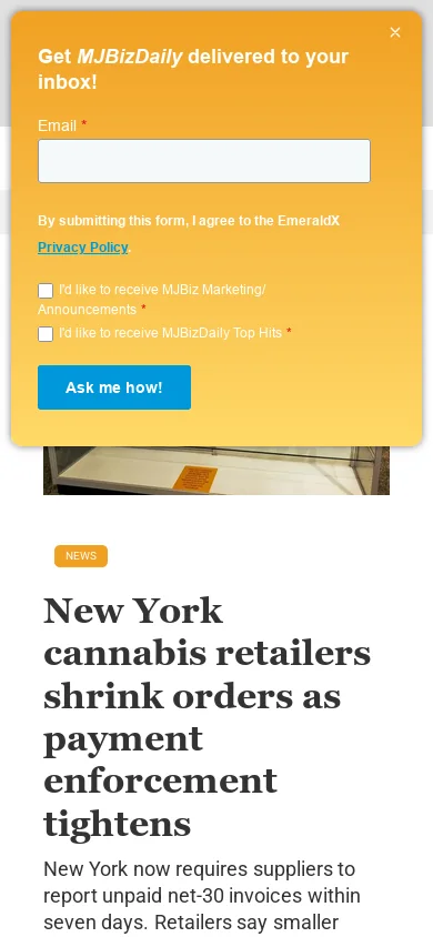 MJBizDaily Homepage screenshot