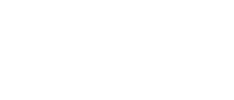 Springer Rescue Scotland  | Dedicated to rescuing and rehoming Spaniels · Twitter