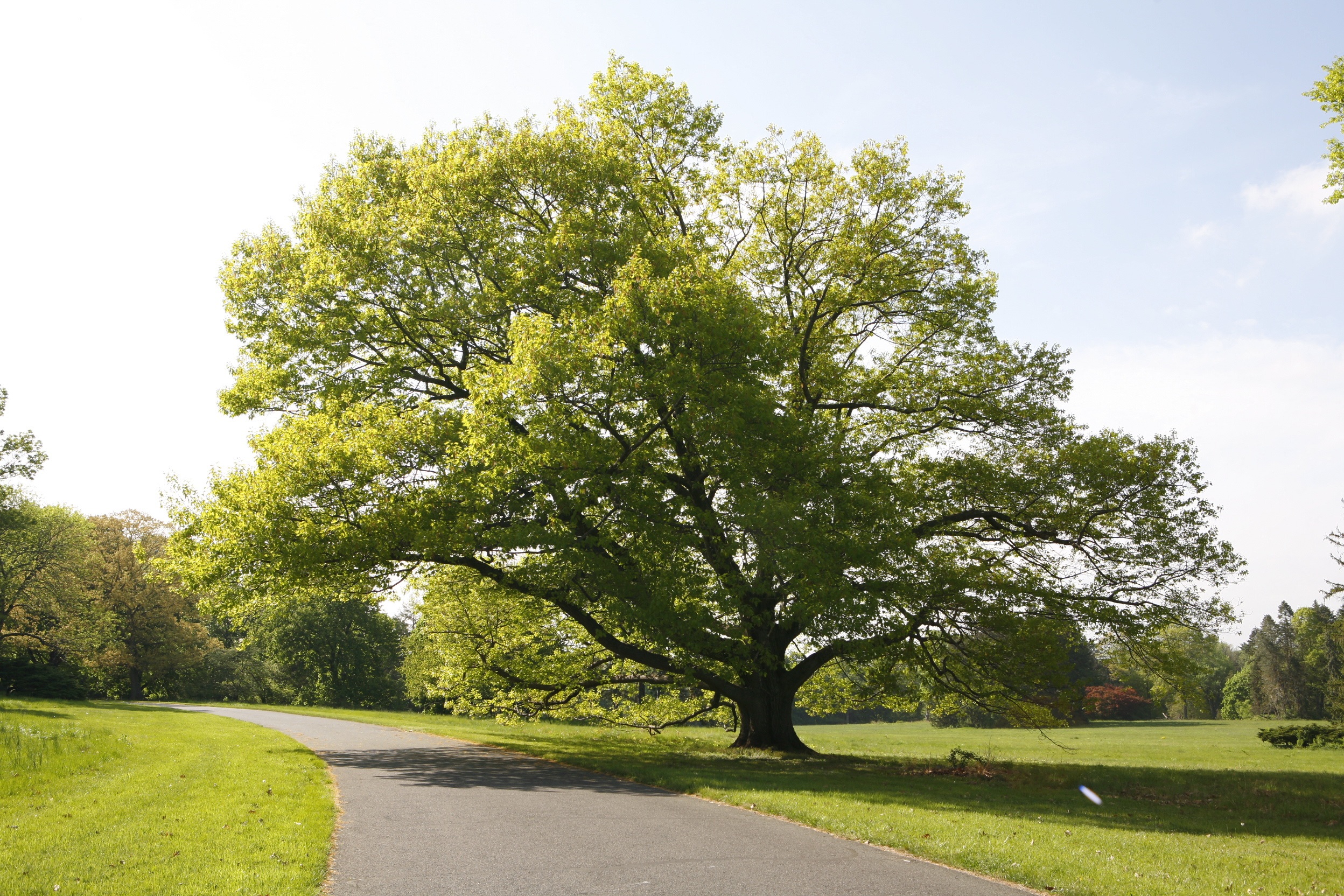 Homepage - Duke Farms · Twitter