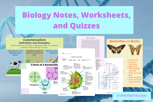 What's New at Science Notes - Periodic Tables and More - Science Notes and Projects · Twitter