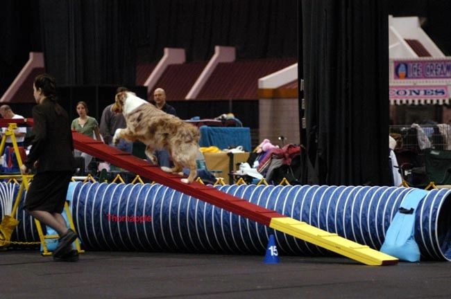 Western Reserve Kennel Club, Inc.