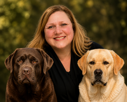 English Labrador Retriever Breeder in Georgia | Van Dalen IBIM Labradors · Twitter