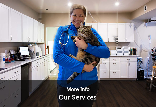 Home - East Gwillimbury Veterinary Hospital · Twitter