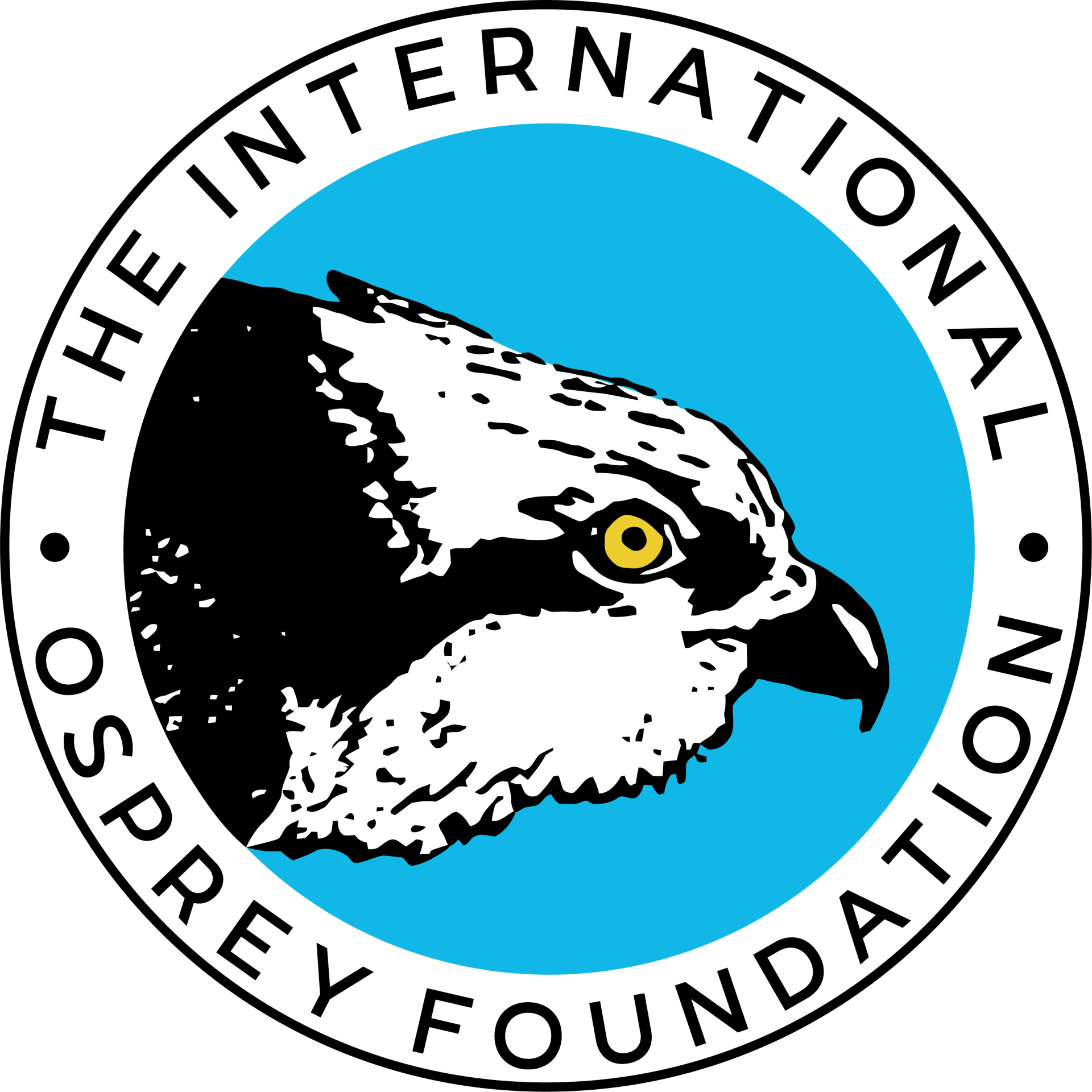 The International Osprey Foundation | Sanibel, FL | Non-Profit · Twitter