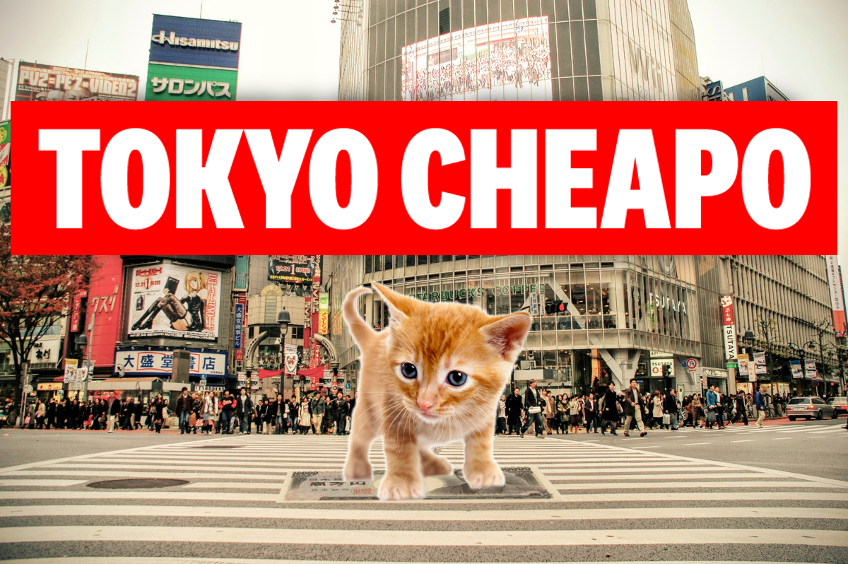 Tokyo Cheapo | The Ultimate Guide To Tokyo · Twitter