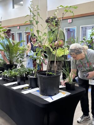 North Carolina Native Plant Society · Twitter