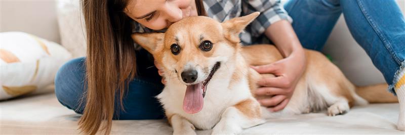 PetDiscounters.com: Discount Dog, Cat, Birds & Pet Supplies & Treats · Twitter