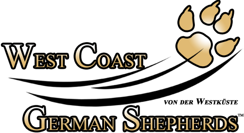 West Coast German Shepherds | german shepherd puppies sales | Menifee, CA, USA · Twitter